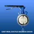 Cast Iron, Ductile Valve & Cock