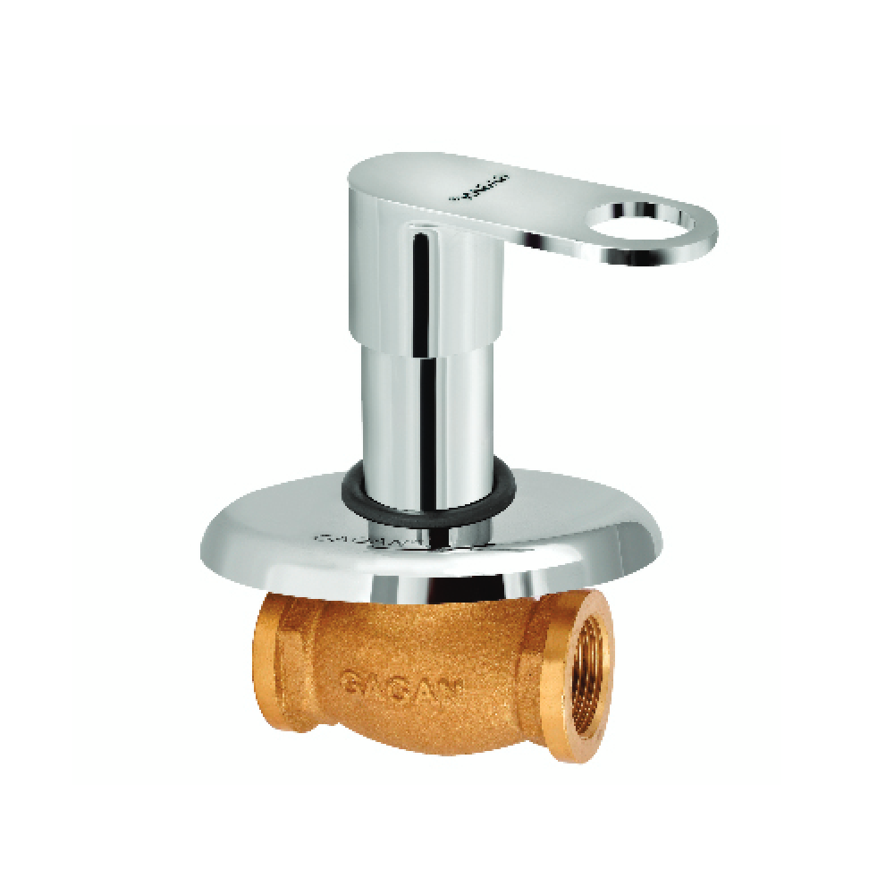 Flush Cock With Flange(Art No- 304)