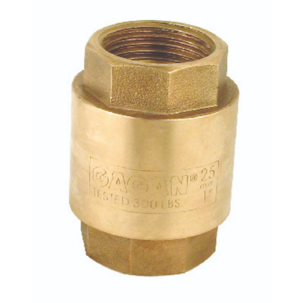 Gagan Gun Metal Multi Check Valve