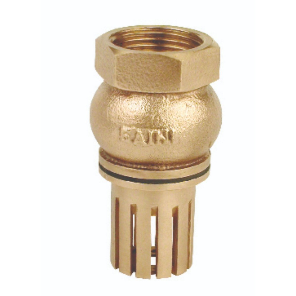 Gagan Gun Metal Foot Valve